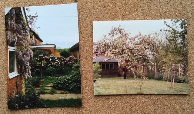 C4B76B4E-D40D-439E-B387-5DFA6661A0AD